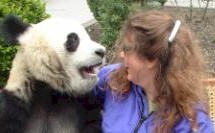 Dani chats with a Panda